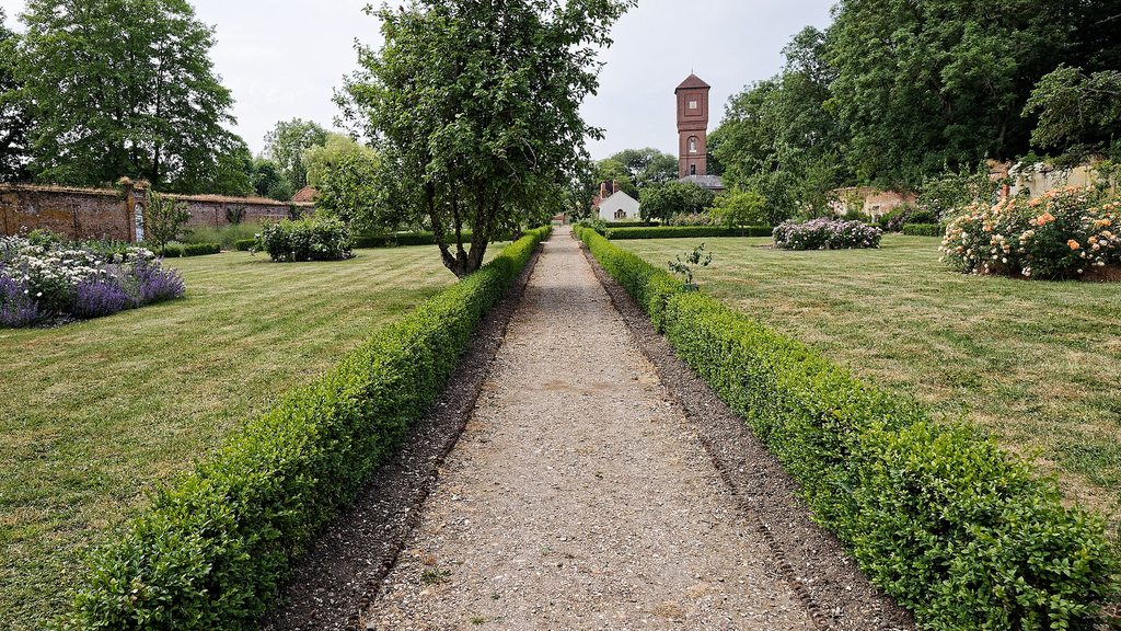 Gartenweg zwischen geschnittenen Hecken