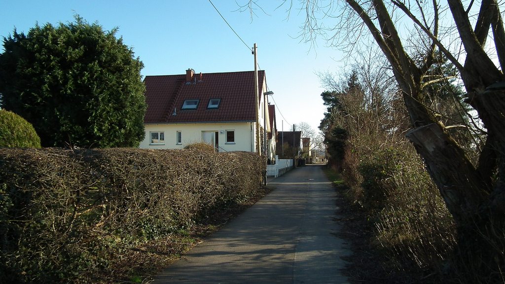 Schmaler Feldweg zwischen Hecken