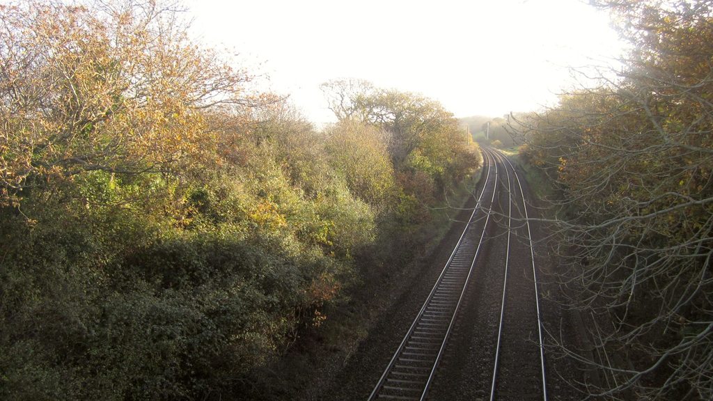 Bahnstrecke im Grünen