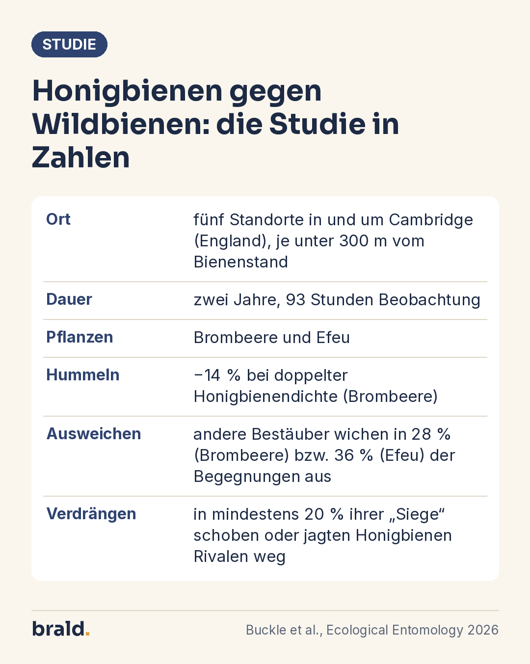 Infografik: Kennzahlen der britischen Studie zur Konkurrenz zwischen Honigbienen und anderen Bestäubern