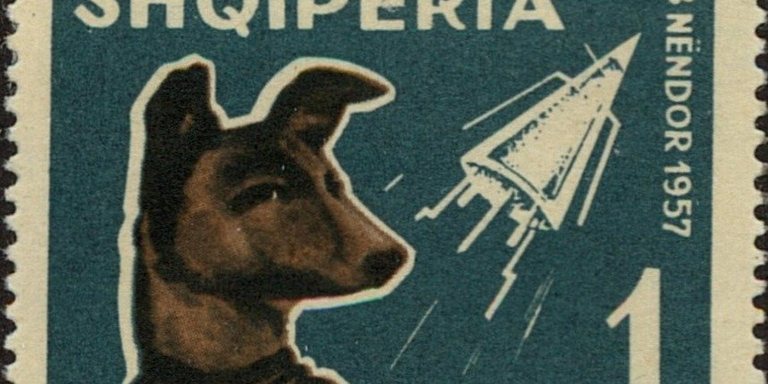 Laika und die vergessenen Helden der Raketentechnik